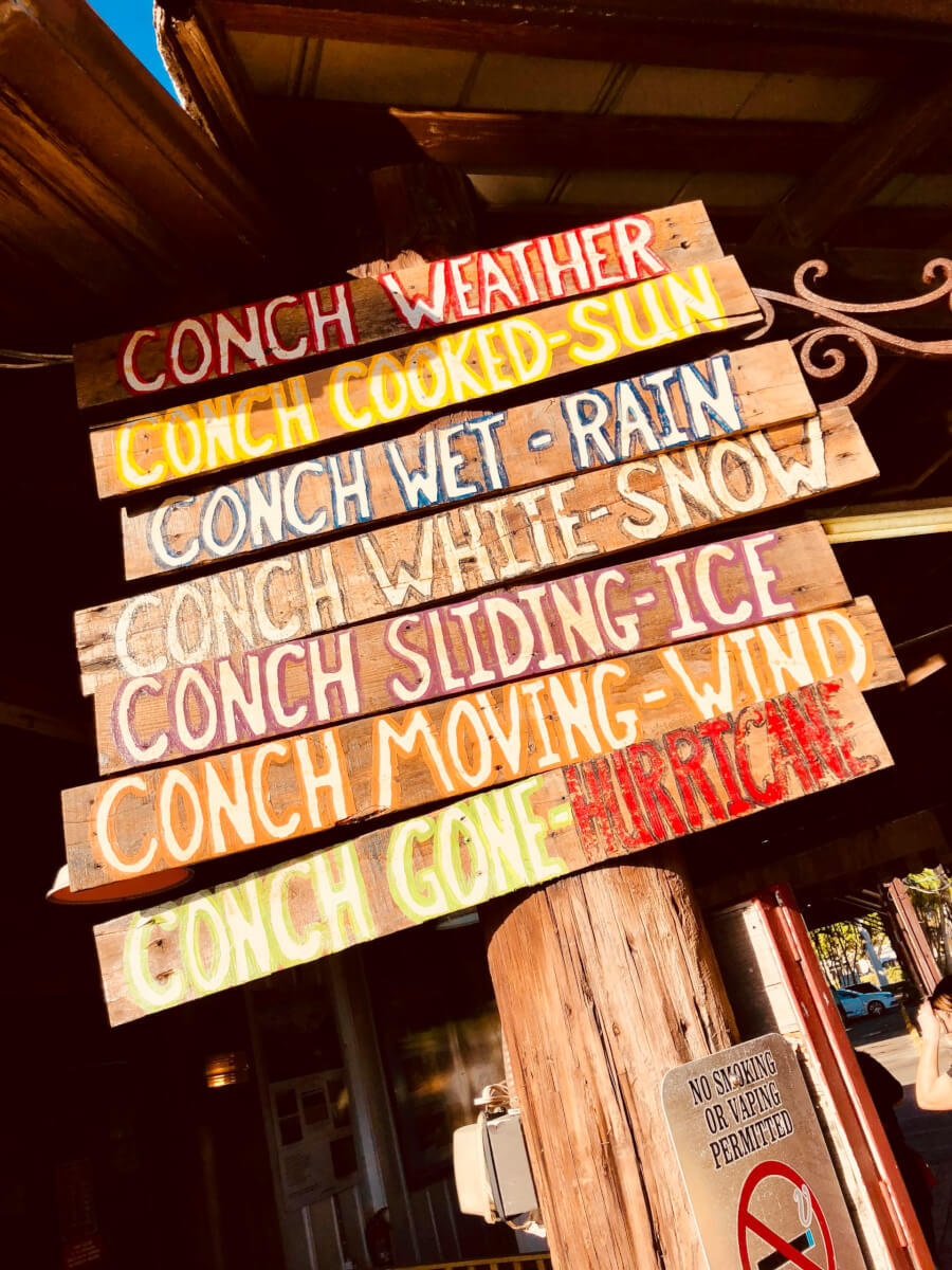 Photos from our 2018 team trip to Naples, FL - 6