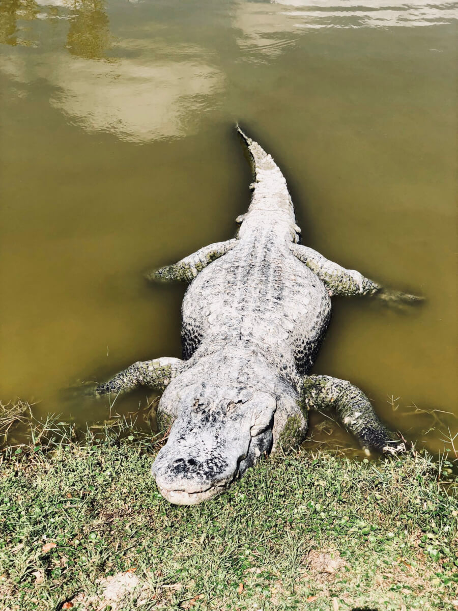 Photos from our 2018 team trip to Naples, FL - 7