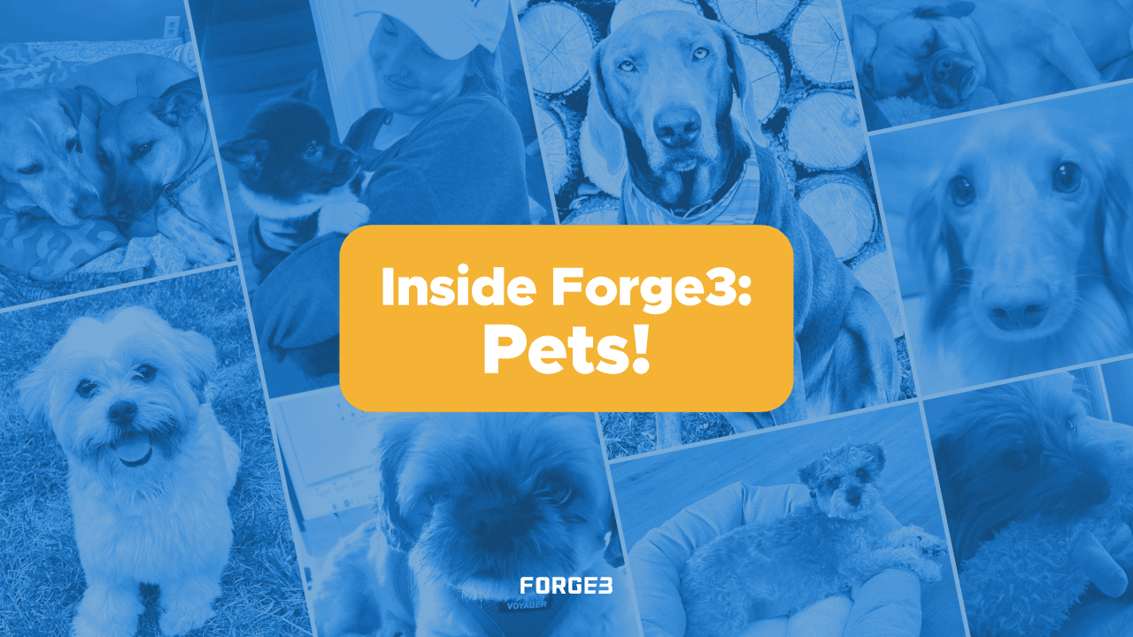 Inside Forge3 Pets - Collage of Animals with the Text Inside Forge3 Pets on Top