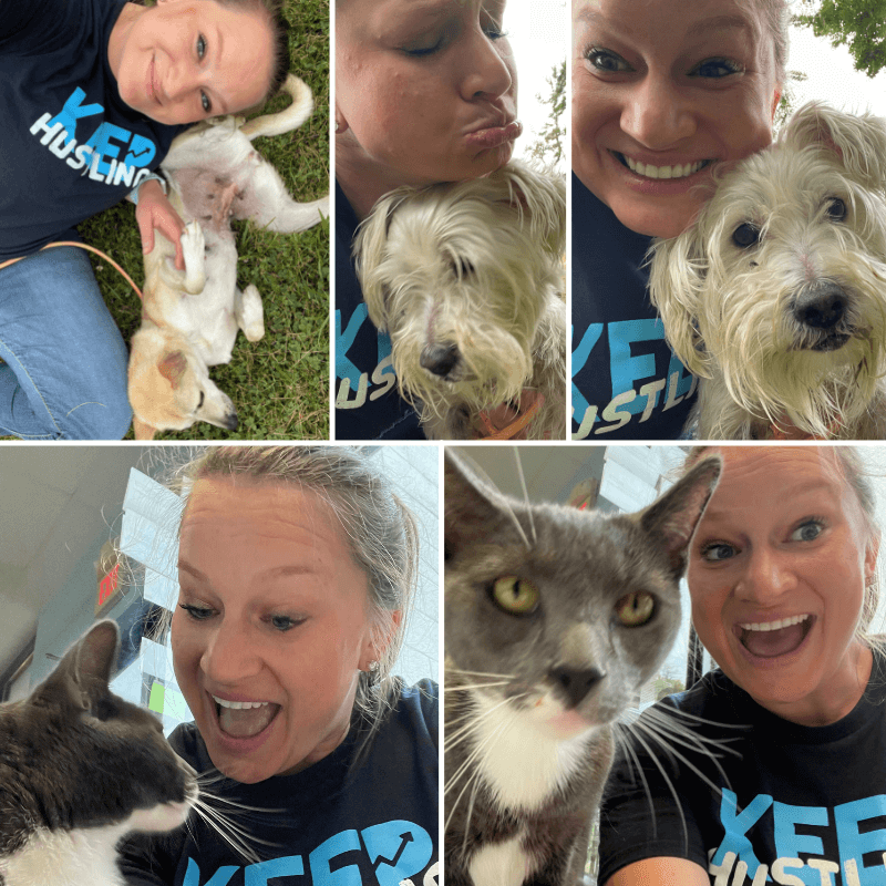 Lehigh County Humane Society - Collage of Bethany Making Faces With Dogs and Cats
