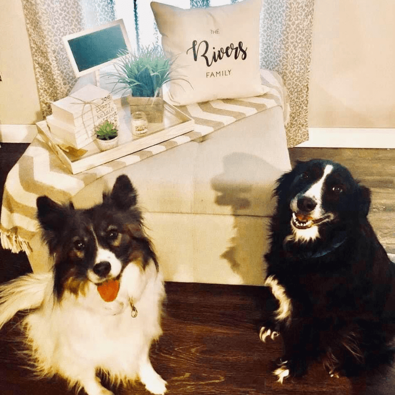 World Pet Day - Tracys Dogs Sitting Near Ottoman