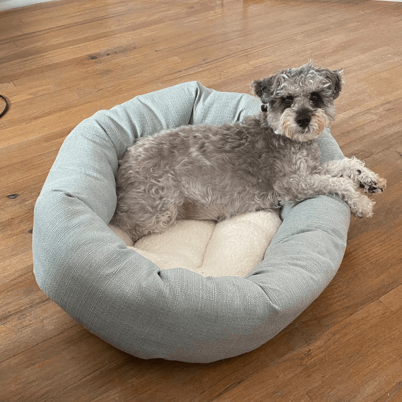World Pet Day - Zacks Dog Laying in Dog Bed