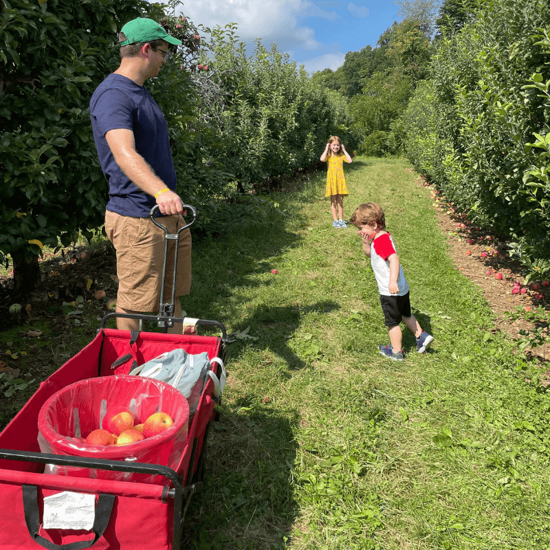 Favorite Things About Fall - A Man, a Wagon With Apple in a Bucket, and Two Children in an Orchard