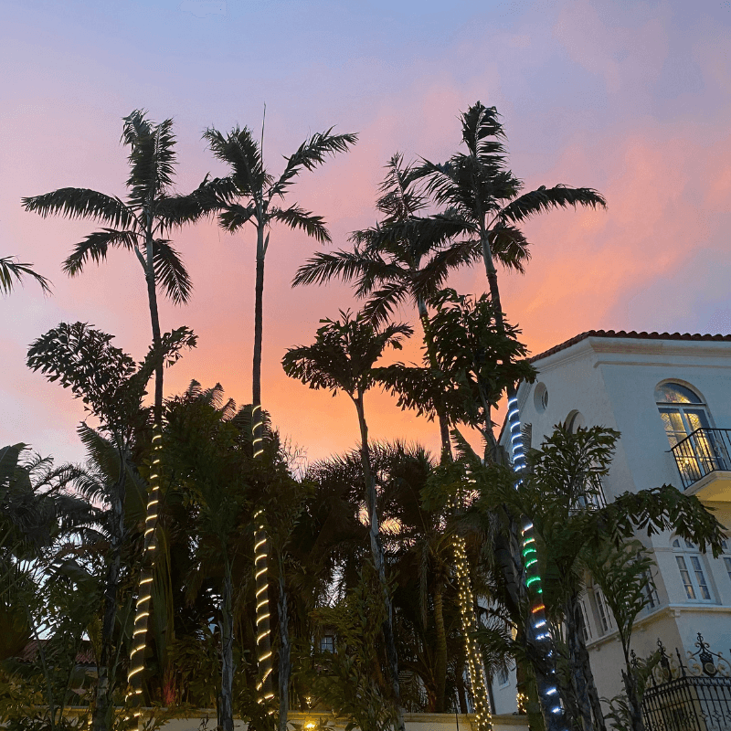 Best of 2021 - Palm Trees at Sunset With a Large House