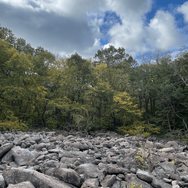 Best of 2021 - Rocks, Trees, Blue Sky and Clouds